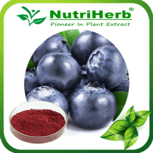 Bilberry Extract-NutriHerb