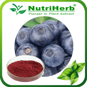 Blueberry pigment-NutriHerb