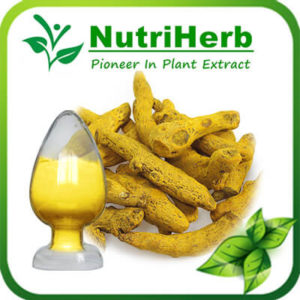 Curcumin-NutriHerb