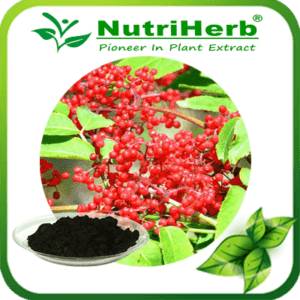 Elderberry extract-NutriHerb