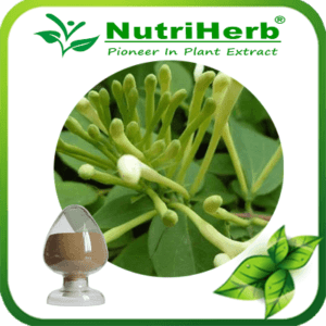 Honeysuckle Extract-NutriHerb