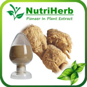 Maca Extract-NutriHerb