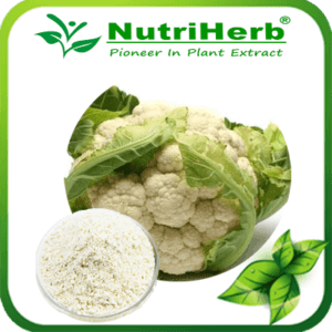 Broccoli powder-NutriHerb